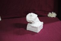 mini-452